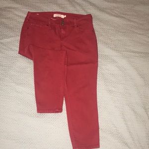 Torrid red jegging